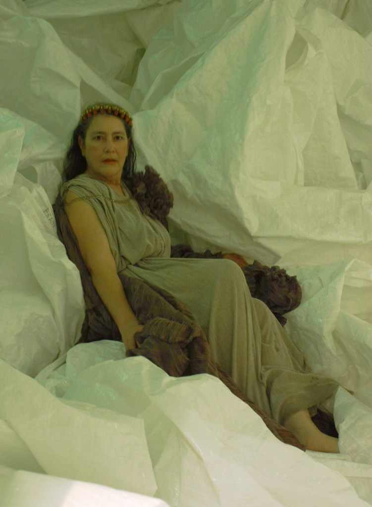 Arianne Vitale Cardoso costumes